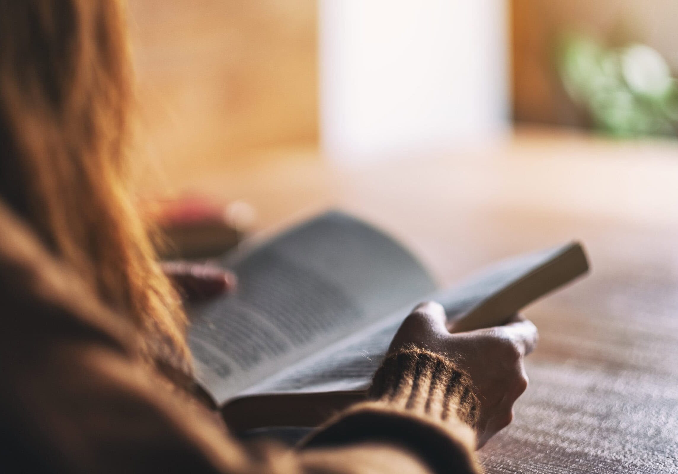Close-up of a woman holding and reading a book in warm natural light
